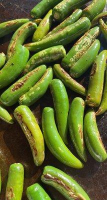 Tacos Over The Border