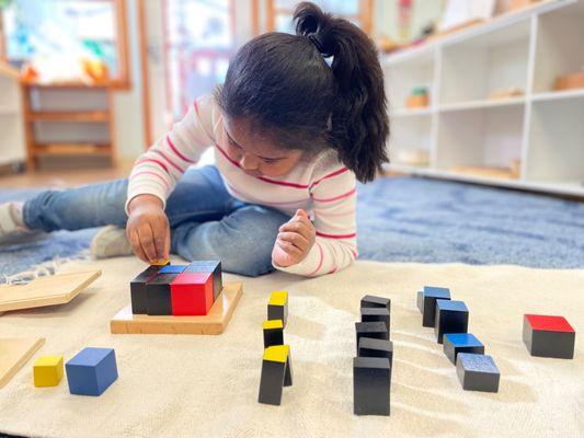 Pincushion Hill Montessori School