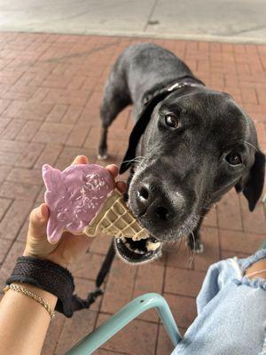 Reasonably priced bakery items. Love the store idea and definitely our favorite place in downtown Bentonville!