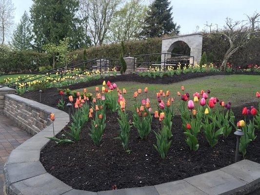 Take a stroll around our beautiful gardens!