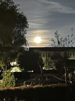 Nighty nite my darlings. This girl is pooped. A very emotional day Will spread lots of yelp love this week.