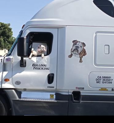 Bulldog Trucking LLC
