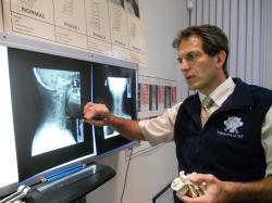 All Ages Chiropractic