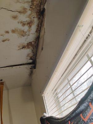 Spring Valley Townhome Apartments