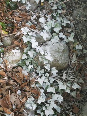 Keesling Home Maintenance