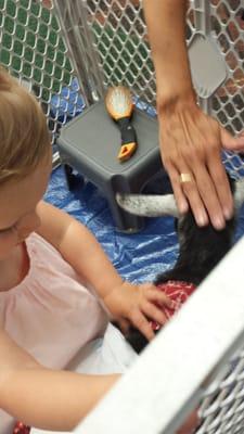 Petting the animals!!