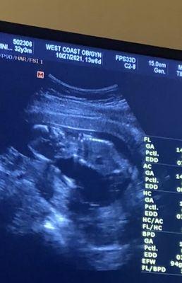 New Fertility Center