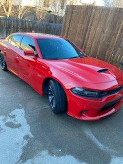 Perfection Mobile Detailing & Coatings