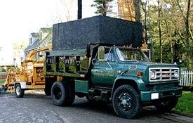 Mead Tree & Landscape