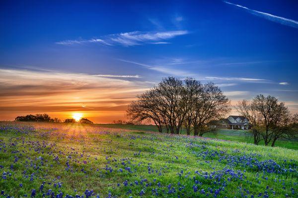 Beautiful sunset, bluebonnets and home! Nothing better.