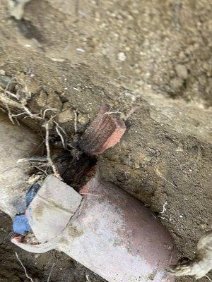 100% blocked with root