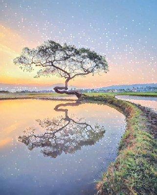 Bisharat Katherine, MD