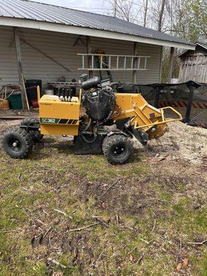 Lalonde’s Stump Removal