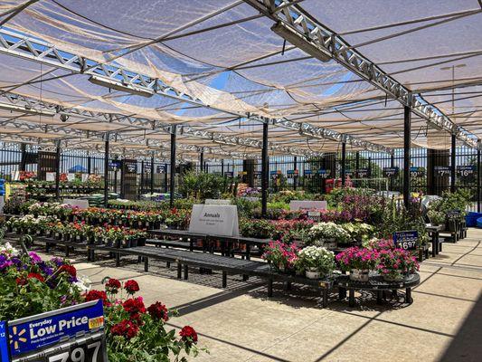 Walmart Vision & Glasses