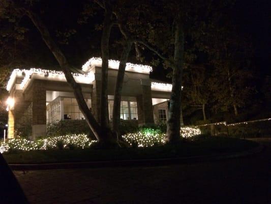 Xmas lights are up!