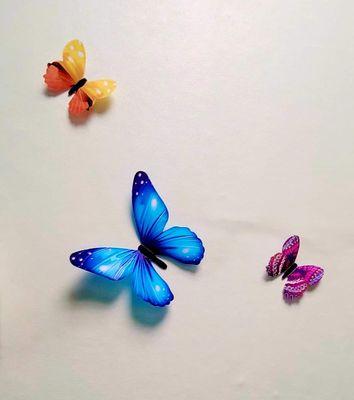 3D butterfly wall décor!