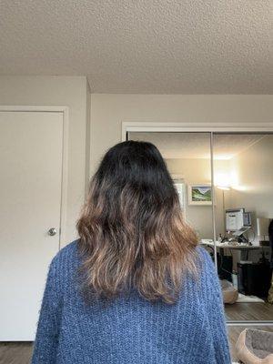 Beach Shack Hair Salon