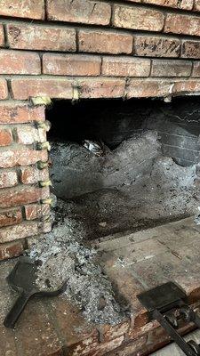 Blue Gum Chimney Sweep