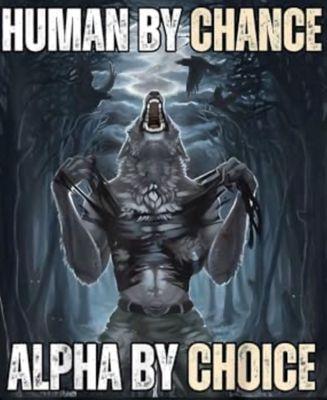 Albert Einstein Middle School