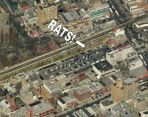 The Worst parking field in Flushing. Here be RATS!