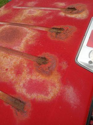 Elite Fleet Auto Body