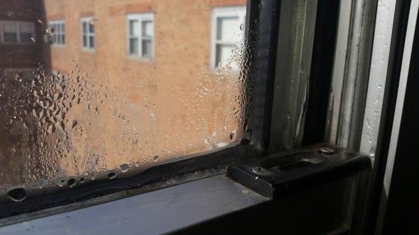During the winter, ice appears on window sill.