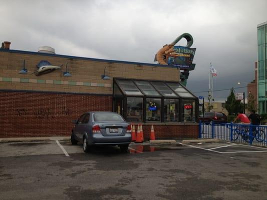 Awesome seafood salads