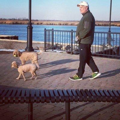 Dogwalker Dave