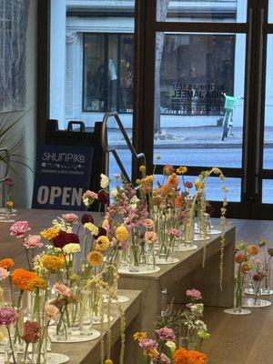 Stitched By The Starz