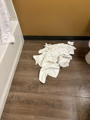 Pile of dirty towels on the floor that the front desk stated they will put away but did not