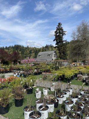 Gray Barn Nursery & Garden Center