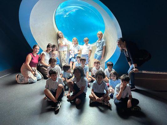 tangerine Montessori