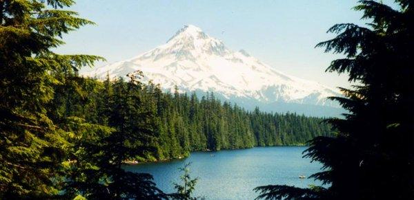 Cheri Belander - Cheri Belander Real Estate