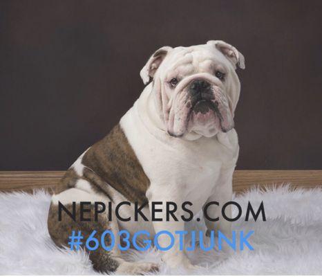 New England Pickers and Debris Removal