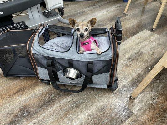 High Plains Vet Clinic