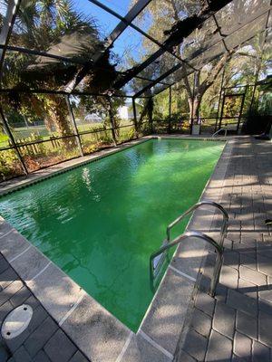 C’est La Vie Pools