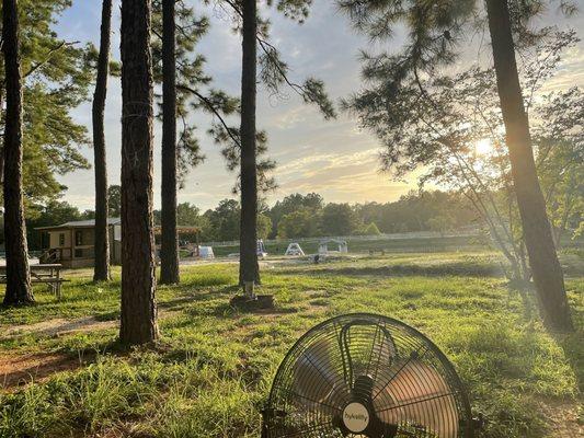 Yogi Bear's Jellystone Park