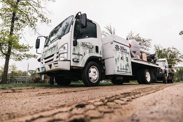 Mike's Tree Company