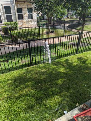 Perfect Cuts Lawn Service