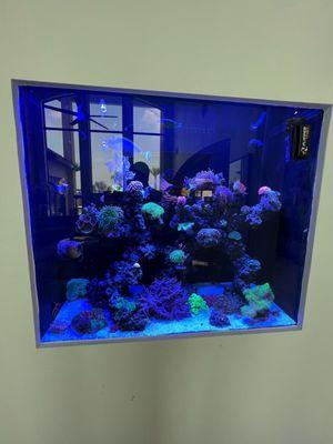 Designed, Installed & Maintenance By O2U