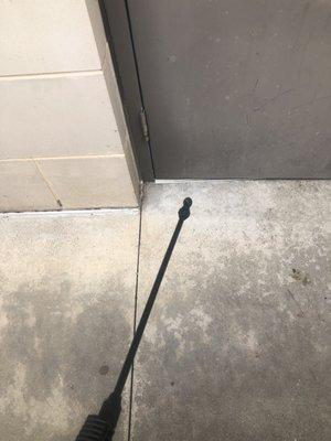 Crown Jewel Pest Management