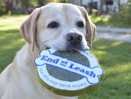 Wylie with a favorite toy!