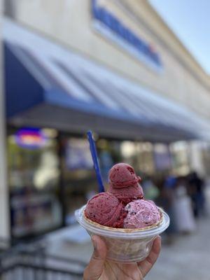 Handel's Homemade Ice Cream