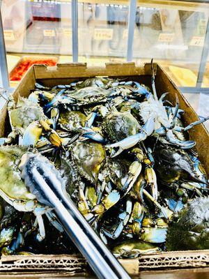 LT New Orleans Seafood Market