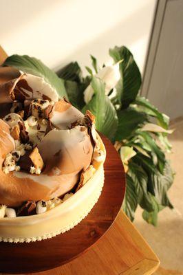 Milk 'N Honey Cake Studio