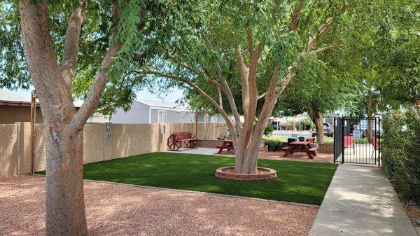 Common area near pool and skate track