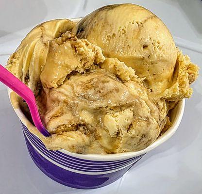 Metropolitan Ice Cream Co