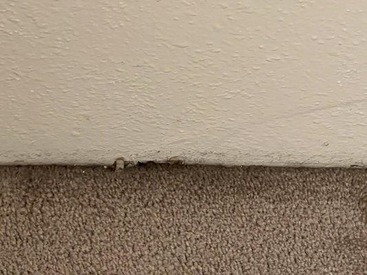 Beamer Place Apartments