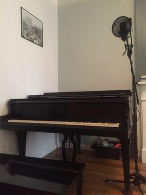 Zinovy Pritsker Piano Tuner