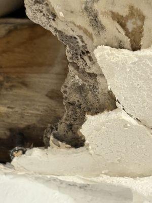 McKinley At Westwood Suites